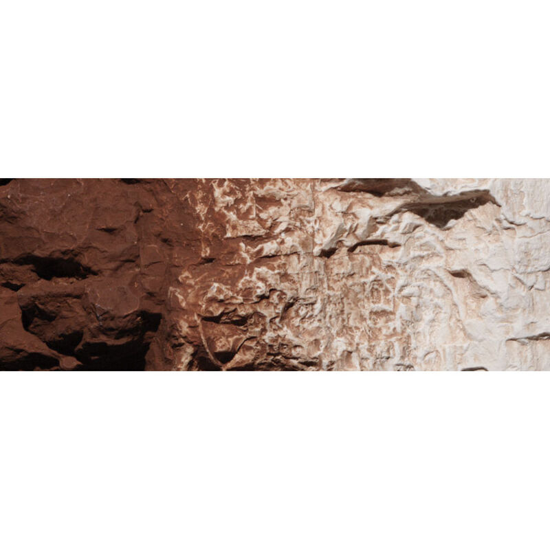 Earth Color, Burnt Umber/4oz