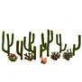Classics Tree, Cactus 0.5-2.5"(13)