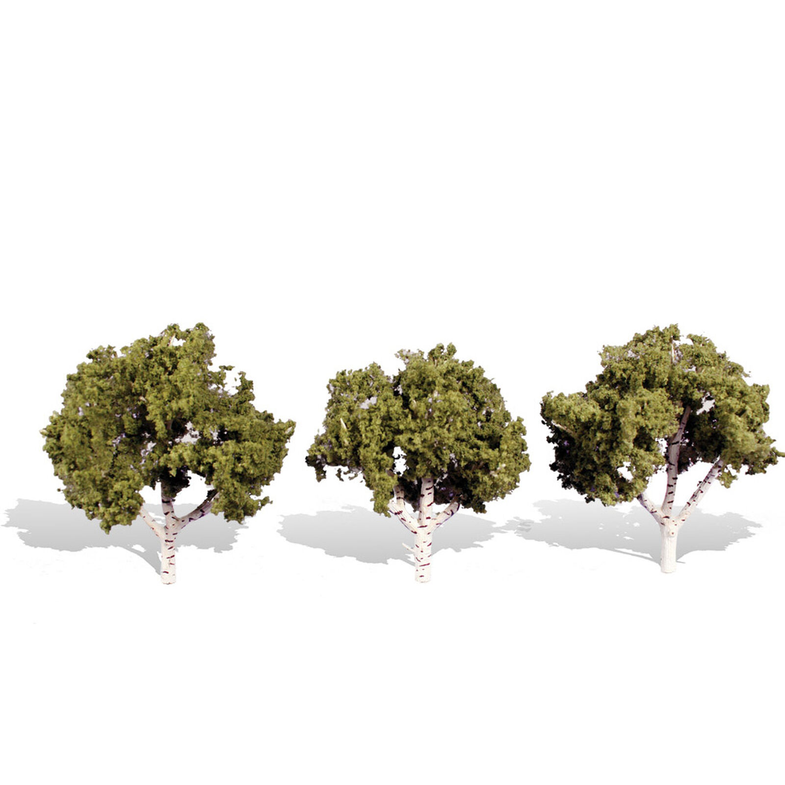 Classics Tree, Waters Edge 3-4" (3)