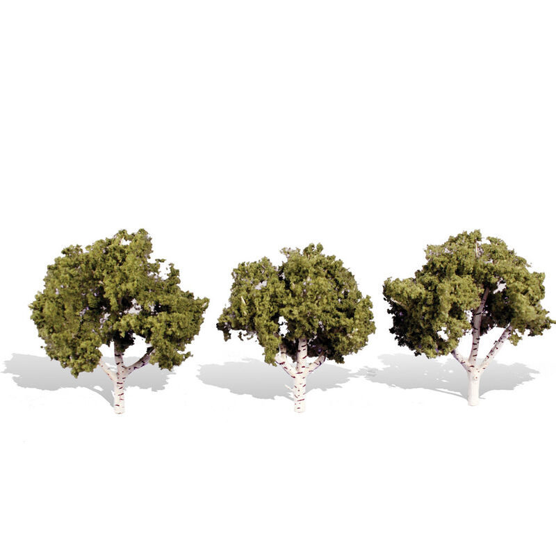 Classics Tree, Waters Edge 3-4" (3)
