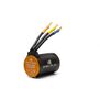 Firma 3652 3800Kv 4-Pole Brushless Motor: Promoto-MX/SM
