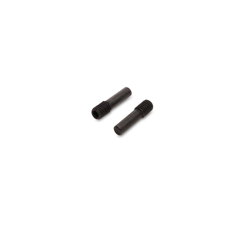 SHSS, M3 x .099 Pin Screw (2)