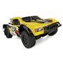 1/10 Pro4 SC10 4x4 Short Course Truck RTR, LiPo Combo