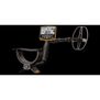 ACE APEX Metal Detector (Standard Package)