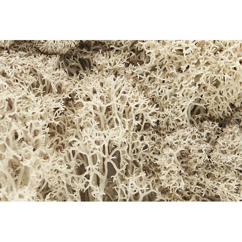 Lichen Bag, Natural/82 cu. in.