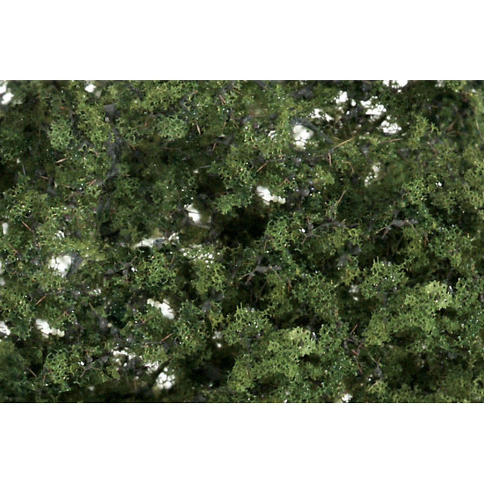 Fine Leaf Foliage, Medium Green/75 cu. in.