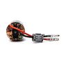 Firma 55T Rebuildable 3-Pole Brushed Crawler Motor