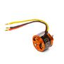 Avian 2830-950Kv Outrunner Brushless Motor