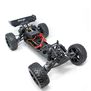 1/10 Piranha TR10 2WD Truggy, RTR