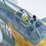 P-40 Warhawk 35-55cc ARF