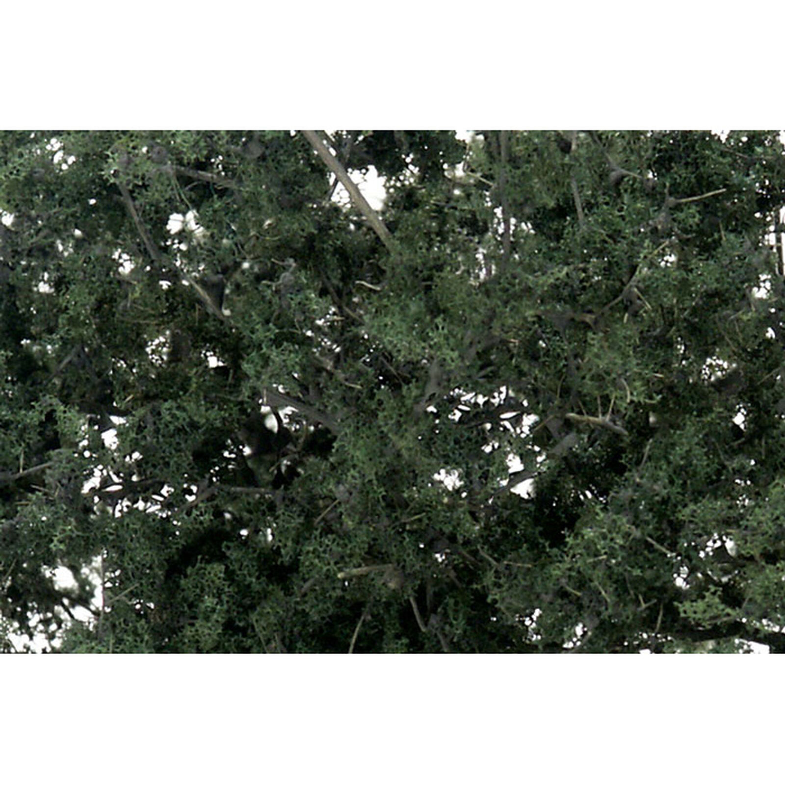 Fine Leaf Foliage, Dark Green/75 cu. in.