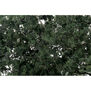 Fine Leaf Foliage, Dark Green/75 cu. in.