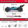 1/8 TYPHON MEGA 665 4X4 RTR Brushed Buggy, Blue