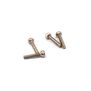 Socket Cap Hex Screws M2x10mm (4) Hardware