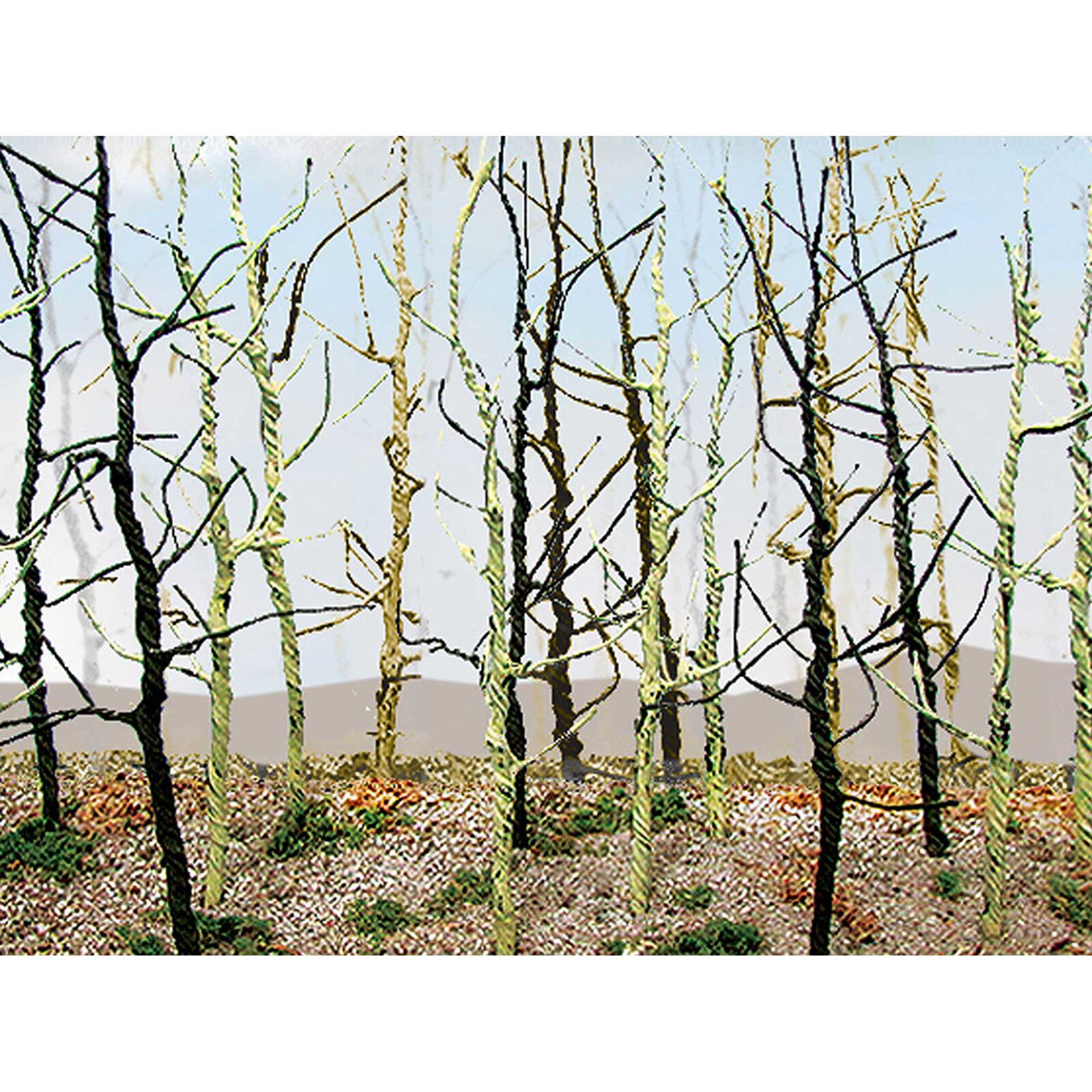 Wood's Edge Trees, Bare (14)
