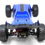 1/10 Piranha TR10 2WD Truggy, RTR