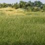 4 mm Medium Green Static Grass