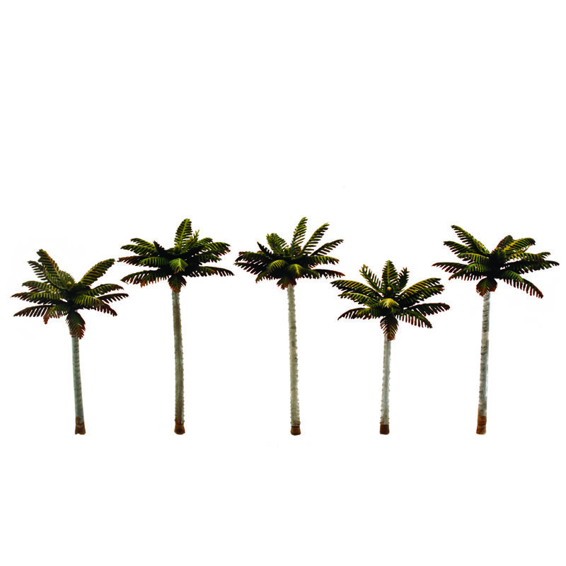 Classics Tree, Palm  3.00-3.75" (5)