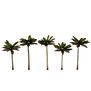 Classics Tree, Palm  3.00-3.75" (5)