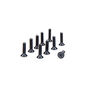 M2.5 x 10mm Flat Head Screws (10)