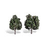 Classics Tree, Cool Shade 5-6" (2)