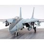 1/48 Grumman F-14A Tomcat Carrier Launch Set