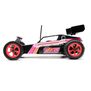 1/16 Mini JRX2 2S 2WD RTR Brushed Buggy (Battery & Charger Included)
