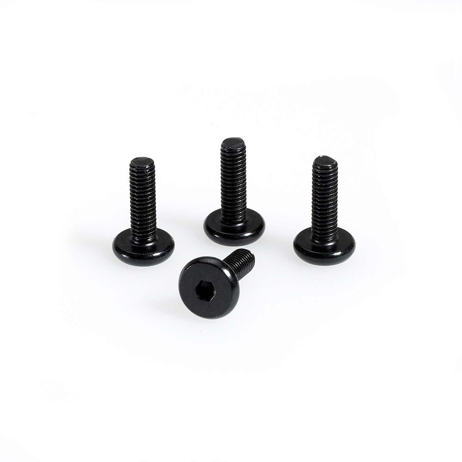Washer Head Screw
