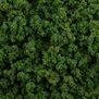 Medium Green Foliage Clumps