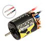 Reedy Radon 2 3-Slot 3600Kv Brushed Motor, 17T: 3.5mm Bullet