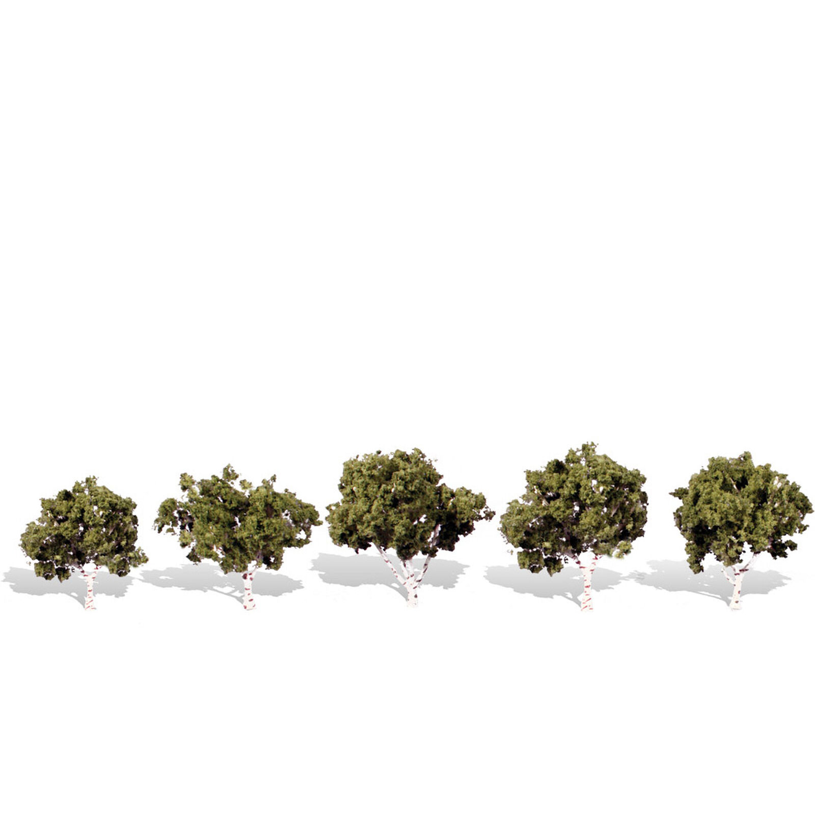 Classics Tree, Waters Edge 1.25-2" (5)