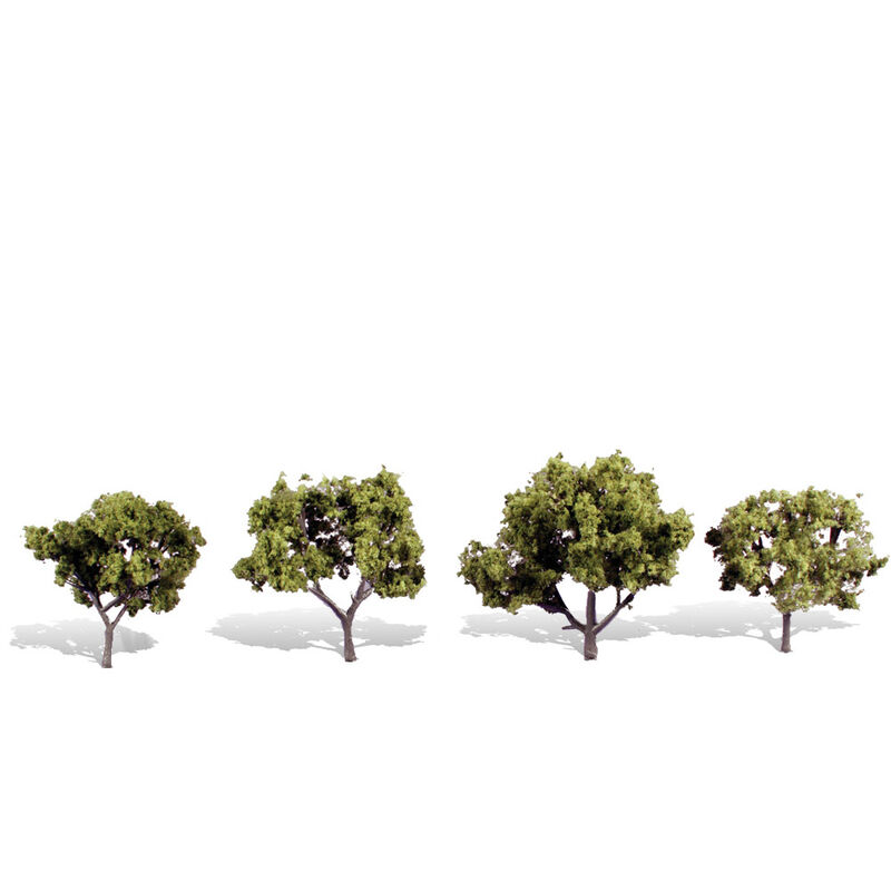 Classics Tree, Early Light 2-3" (4)