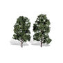 Classics Tree, Cool Shade 8-9" (2)