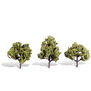 Classics Tree, Early Light 4-5" (3)