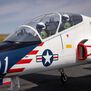 Hawk/T-45 140-160N Turbine Jet ARF