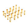 Connector: Gold Bullet Set, 5.5mm (10)