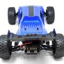 1/10 Piranha TR10 2WD Truggy, RTR