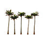 Classics Tree, Palm 4.75-5.25"(5)