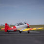 SNJ-5/AT-6 Texan 1.5m PNP