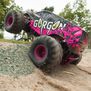 1/10 GORGON 2WD RTR Brushed Monster Truck (Battery & Charger Included), Purple