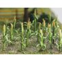 Corn Stalks, 1" Tall (30)