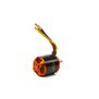 Avian 4260-800Kv Outrunner Brushless Motor