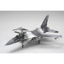 1/48 F-16C/N "Aggressor/Adversary"