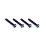 3x20mm Top Hat Titanium screw, burnt blue - 4pc