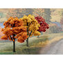 Value Trees, Fall Mix 3-5" (14)