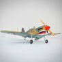 P-40 Warhawk 35-55cc ARF