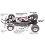 1/10 Grasshopper 2WD Buggy Kit