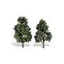 Classics Tree, Cool Shade 6-7" (2)