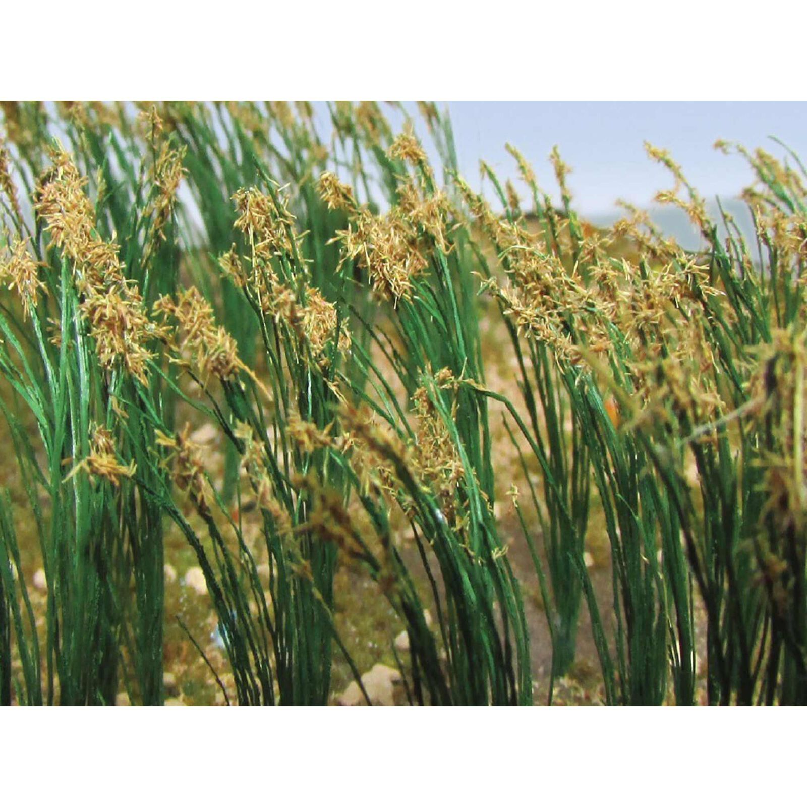 HO Reeds - 1" Tall (40/pk)