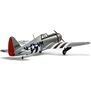P-47D Thunderbolt 20cc ARF with E-flite Electric Retract Set